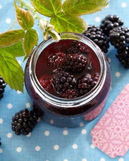 https://imgix.familiejournal.dk/media/websites/familiejournalen-dot-dk/website/2013/august/uge-33/mad/33-syltede-brombaer-med-rom-362.jpg