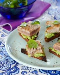 https://imgix.familiejournal.dk/media/websites/familiejournalen-dot-dk/website/2013/februar/uge-7/mad/07-raastegt-tun-med-avocado-362.jpg