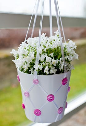 https://imgix.familiejournal.dk/media/websites/familiejournalen-dot-dk/website/2013/juli/uge-28/haand/28-ampel-280.jpg