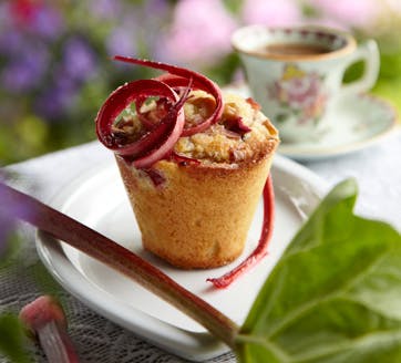 https://imgix.familiejournal.dk/media/websites/familiejournalen-dot-dk/website/2013/juni/uge-23/tillaeg-jordbaer-og-rabarber/23-rabarbermuffins-med-chokolade-362.jpg