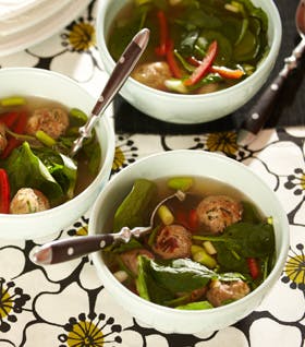 https://imgix.familiejournal.dk/media/websites/familiejournalen-dot-dk/website/2013/maj/uge-21/mad/21-spinatsuppe-med-koedboller-280.jpg