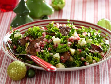 Grønkålssalat med and og granatæble er et godt bud på en god salat til den tunge julemad.