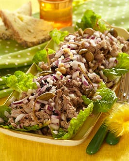 Lækker lammesalat med korender og frisk dressing