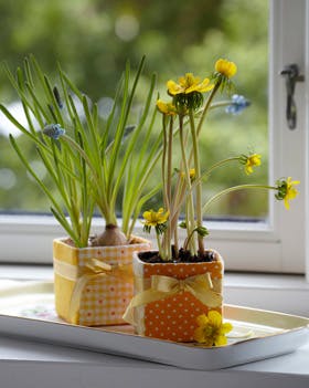 https://imgix.familiejournal.dk/media/websites/familiejournalen-dot-dk/website/2014/april/uge-15/haandarbejde/15-urtepotteskjul280.jpg
