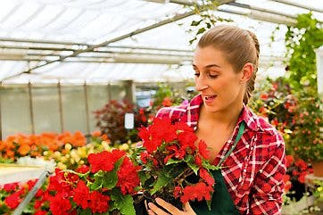 https://imgix.familiejournal.dk/media/websites/familiejournalen-dot-dk/website/2014/marts/uge-11/artikler/11-ud-i-drivhuset-nu-artikel.jpg
