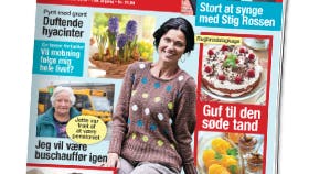 Familie Journal, der udkommer mandag 2. februar 2015