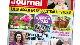 Familie Journal, der udkommer lørdag 23 . maj 2015