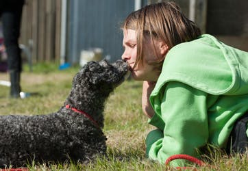 https://imgix.familiejournal.dk/media/websites/familiejournalen-dot-dk/website/artikler/nyeste/2012/08/34-hunde-camping-362.jpg