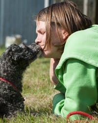 https://imgix.familiejournal.dk/media/websites/familiejournalen-dot-dk/website/artikler/nyeste/2012/08/34-hunde-camping-362.jpg