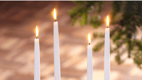 Foto: Carina KrĂŒger