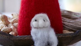 Foto: Carina Krüger