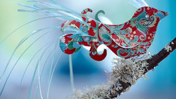 Foto: Carina Krüger