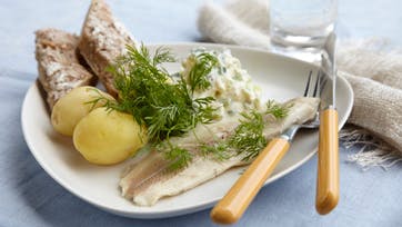 Foto: Familie Journals Slankeklub