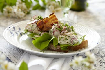 https://imgix.familiejournal.dk/media/websites/familiejournalen-dot-dk/website/mad/smat-men-godt/2012/08/33-hoensesalat-med-bacon-362.jpg