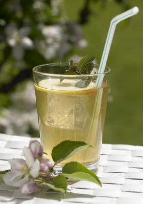 https://imgix.familiejournal.dk/media/websites/familiejournalen-dot-dk/website/mad/smat-men-godt/2012/08/34-aeble-ingefaer-sjus-280.jpg