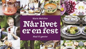 Før 249 kr. Nu kun 199 kr.