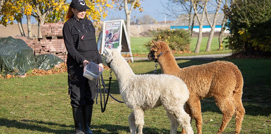 Vinterferie: Velkommen til dyrenes paradis