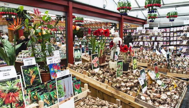 Amsterdams hyggelige blomstermarked ligger på flydende pramme