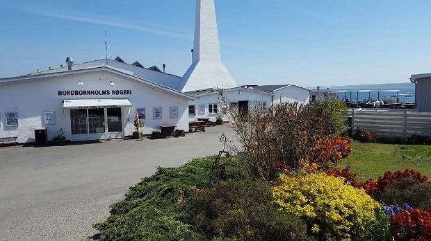 Fra Hasle til Svaneke stikker røgeriernes karakteristiske, hvide skorstene op i det bornholmske landskab.