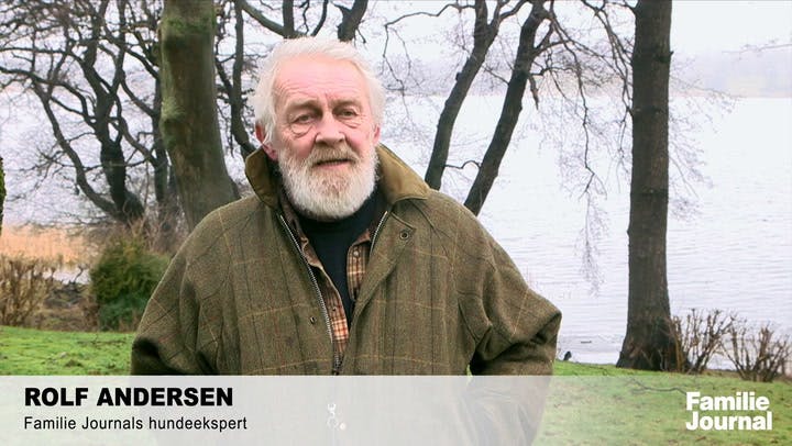 https://imgix.familiejournal.dk/video_thumbnails/MMeKELc9.jpg